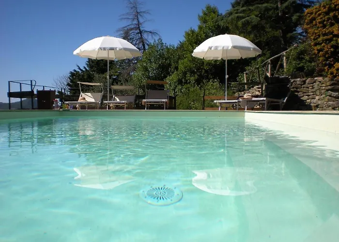 In With Pool